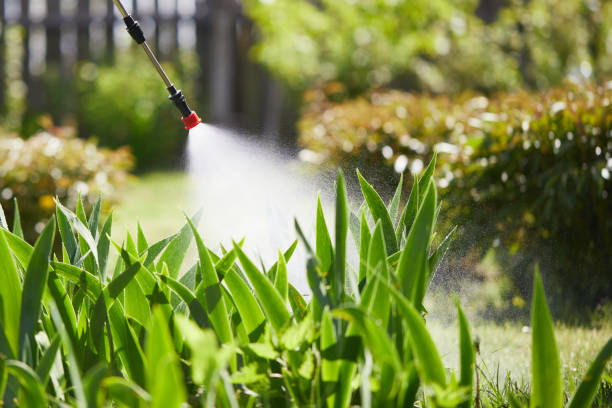 Tamper-Resistant Bait Stations for Rodents in Abbotsford