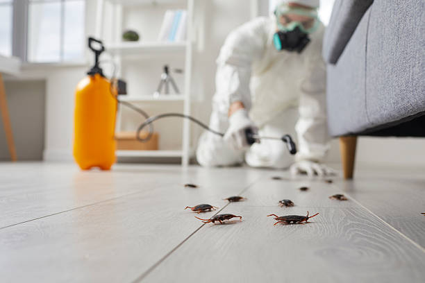 Commercial Rodent Management in Abbotsford